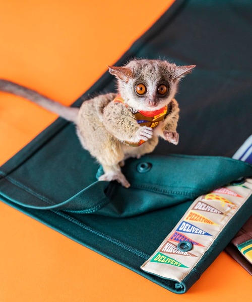 パンツ Niku クラフトコード刺繍パンツ（その他パンツ）｜niko and