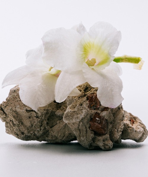 LOEWE Perfumes（ロエベ パルファム）の「オードゥ トワレ “ロエベ アイレ ア ミ アイレ” （50mL）（香水・レディース・その他・FREE）」の6枚目の写真