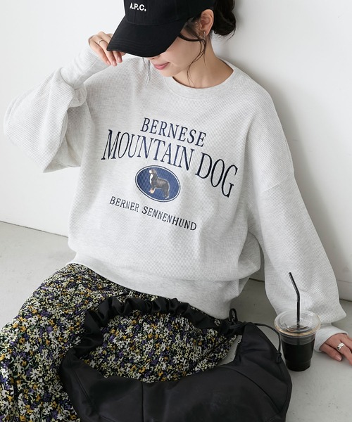 BONLECILL(ボンルシール)の「DOGカレッジプリントワッフルプルオーバー(Tシャツ/カットソー・レディース・オートミール/ホワイト×ブラック/アイボリー/チャコールグレー・FREE)」の16枚目の写真