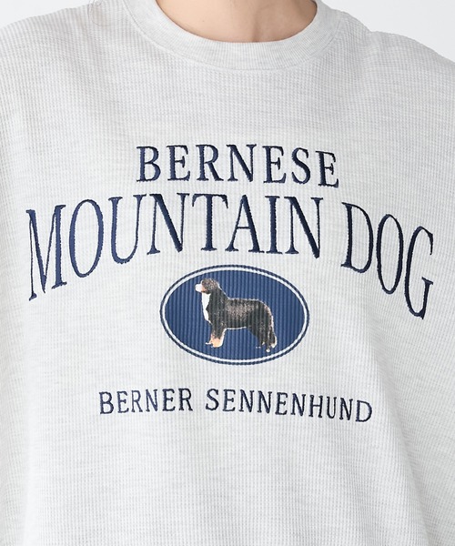 BONLECILL(ボンルシール)の「DOGカレッジプリントワッフルプルオーバー(Tシャツ/カットソー・レディース・オートミール/ホワイト×ブラック/アイボリー/チャコールグレー・FREE)」の20枚目の写真