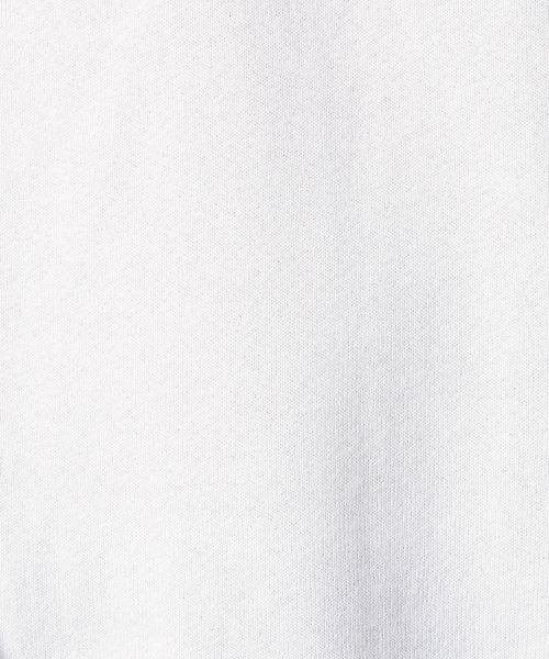 【RUSSELL ATHLETIC/ラッセル アスレチック】 Dri-Power フリーススウェットパーカー（Tシャツ/カットソー）｜Russell Athletic（ラッセルアスレティック）