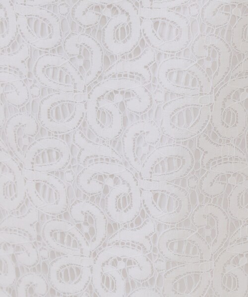 OPAQUE.CLIP（オペークドットクリップ）の「《美人百花掲載》レースイージーナロースカート【洗濯機洗い可】（スカート・レディース・ダークブラウン/ホワイト・38/40）」の11枚目の写真