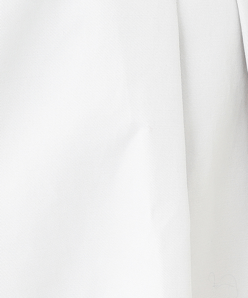 Demi-Luxe BEAMS（デミルクス ビームス）の「Demi-Luxe BEAMS / ベルト付き ボックスタック ワイドパンツ（その他パンツ・レディース・ブラック/ライトグレー・38/40/36）」の8枚目の写真