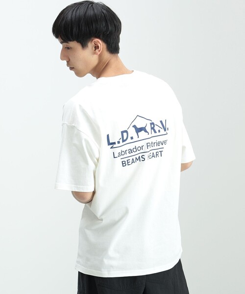 Labrador Retriever（ラブラドールリトリーバー）の「BEAMS HEART / Labrador Retriever アーカイブ プリント Tシャツ（Tシャツ/カットソー・メンズ・ホワイト/ネイビー・MEDIUM/SMALL/LARGE）」の2枚目の写真
