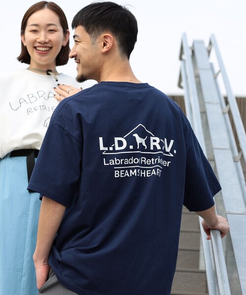Labrador Retriever（ラブラドールリトリーバー）の「BEAMS HEART / Labrador Retriever アーカイブ プリント Tシャツ（Tシャツ/カットソー・メンズ・ホワイト/ネイビー・MEDIUM/SMALL/LARGE）」の10枚目の写真