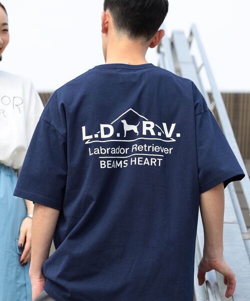 Labrador Retriever（ラブラドールリトリーバー）の「BEAMS HEART / Labrador Retriever アーカイブ プリント Tシャツ（Tシャツ/カットソー・メンズ・ホワイト/ネイビー・MEDIUM/SMALL/LARGE）」の11枚目の写真