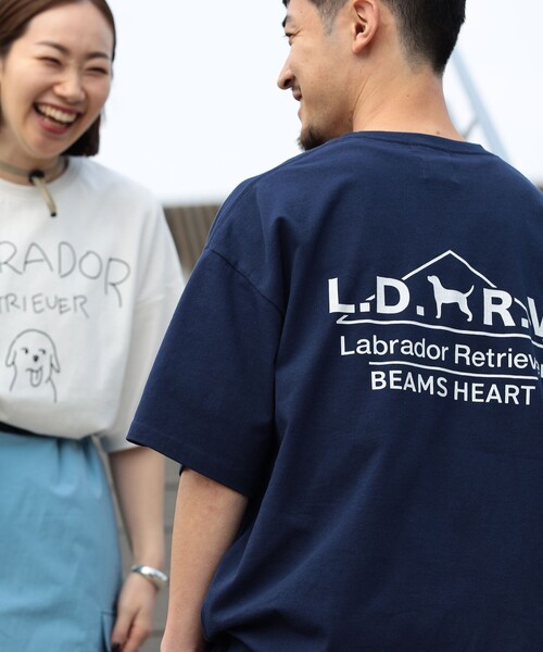 Labrador Retriever（ラブラドールリトリーバー）の「BEAMS HEART / Labrador Retriever アーカイブ プリント Tシャツ（Tシャツ/カットソー・メンズ・ホワイト/ネイビー・MEDIUM/SMALL/LARGE）」の12枚目の写真
