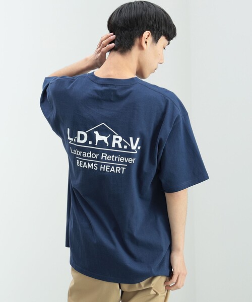 Labrador Retriever（ラブラドールリトリーバー）の「BEAMS HEART / Labrador Retriever アーカイブ プリント Tシャツ（Tシャツ/カットソー・メンズ・ホワイト/ネイビー・MEDIUM/SMALL/LARGE）」の15枚目の写真