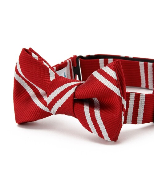 こども ビームス（コドモビームス）の「セレモニー キッズ ボウタイ（蝶ネクタイ・キッズ・ホワイト系その他2/ブラック系その他/シルバー/ホワイト系その他5/ブラック系その他2/ホワイト/オフホワイト・ONE SIZE）」の22枚目の写真