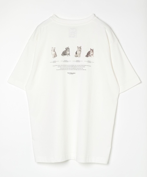 GLOBAL WORK（グローバルワーク）の「グラフィックTシャツ2/半袖/492473（Tシャツ/カットソー・メンズ・その他1/その他2/その他3/ホワイト/ダークブラウン/ホワイト系その他/チャコールグレー/グレー/ホワイト系その他2/グリーン系その他6/ブラック/ブルー系その他6・MEDIUM/LARGE/SMALL/X-LARGE）」の10枚目の写真