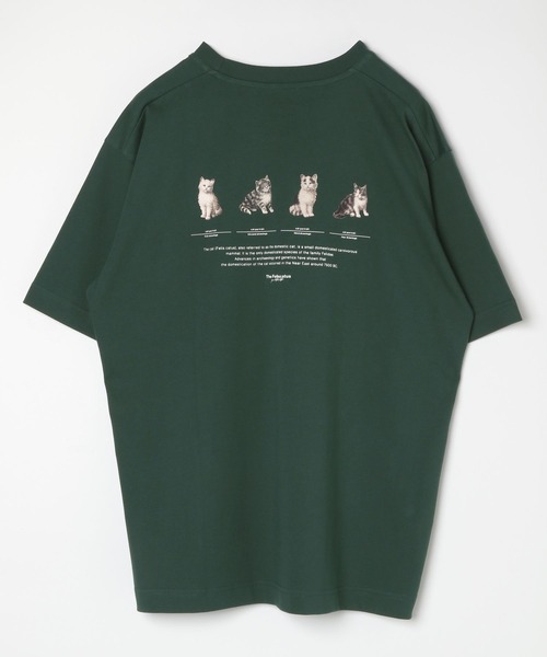 GLOBAL WORK（グローバルワーク）の「グラフィックTシャツ2/半袖/492473（Tシャツ/カットソー・メンズ・その他1/その他2/その他3/ホワイト/ダークブラウン/ホワイト系その他/チャコールグレー/グレー/ホワイト系その他2/グリーン系その他6/ブラック/ブルー系その他6・MEDIUM/LARGE/SMALL/X-LARGE）」の8枚目の写真