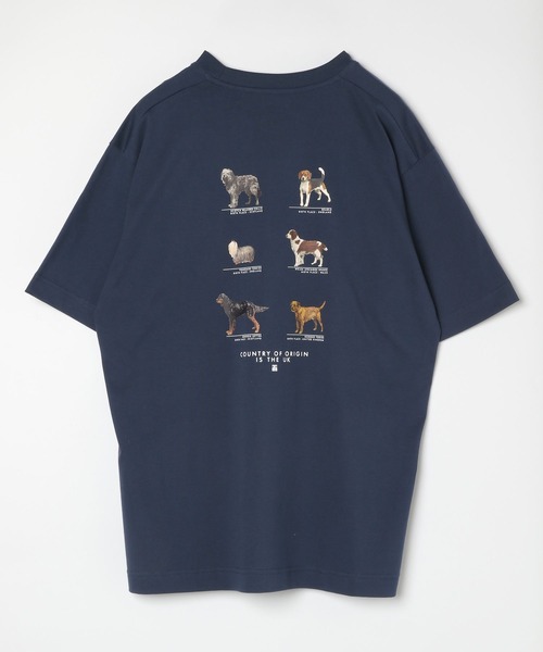 GLOBAL WORK（グローバルワーク）の「グラフィックTシャツ2/半袖/492473（Tシャツ/カットソー・メンズ・その他1/その他2/その他3/ホワイト/ダークブラウン/ホワイト系その他/チャコールグレー/グレー/ホワイト系その他2/グリーン系その他6/ブラック/ブルー系その他6・MEDIUM/LARGE/SMALL/X-LARGE）」の9枚目の写真