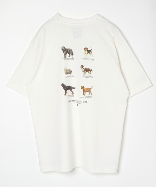 GLOBAL WORK（グローバルワーク）の「グラフィックTシャツ2/半袖/492473（Tシャツ/カットソー・メンズ・その他1/その他2/その他3/ホワイト/ダークブラウン/ホワイト系その他/チャコールグレー/グレー/ホワイト系その他2/グリーン系その他6/ブラック/ブルー系その他6・MEDIUM/LARGE/SMALL/X-LARGE）」の19枚目の写真