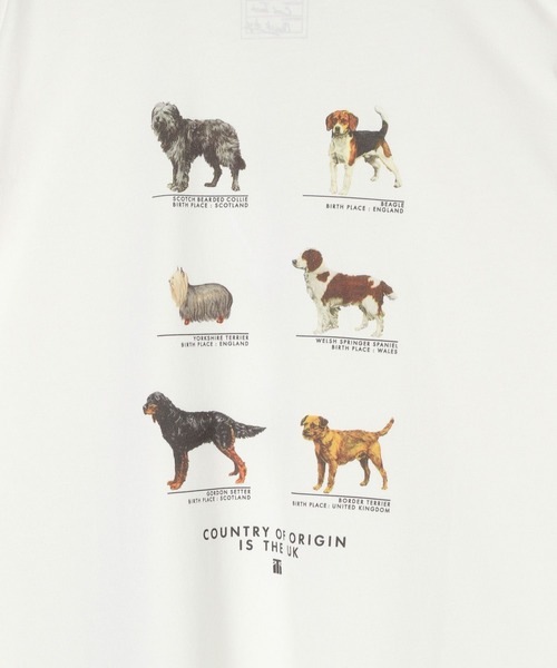 GLOBAL WORK（グローバルワーク）の「グラフィックTシャツ2/半袖/492473（Tシャツ/カットソー・メンズ・その他1/その他2/その他3/ホワイト/ダークブラウン/ホワイト系その他/チャコールグレー/グレー/ホワイト系その他2/グリーン系その他6/ブラック/ブルー系その他6・MEDIUM/LARGE/SMALL/X-LARGE）」の20枚目の写真