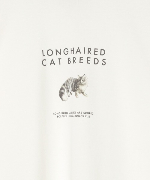 GLOBAL WORK（グローバルワーク）の「グラフィックTシャツ2/半袖/492473（Tシャツ/カットソー・メンズ・その他1/その他2/その他3/ホワイト/ダークブラウン/ホワイト系その他/チャコールグレー/グレー/ホワイト系その他2/グリーン系その他6/ブラック/ブルー系その他6・MEDIUM/LARGE/SMALL/X-LARGE）」の22枚目の写真