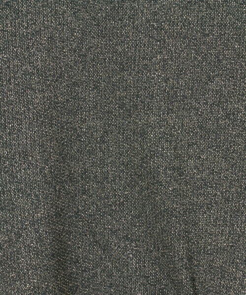 ASTRAET(アストラット)の「<ASTRAET>ラメ ウラケ フーデッド ノースリーブプルオーバー(Tシャツ/カットソー・レディース・ダークグレー/ライトグレー・FREE)」の15枚目の写真