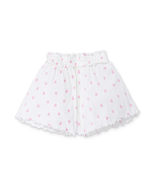 大型トカゲPalaeosaniwaの下顎 爬虫類 化石 白亜紀 アメリカ