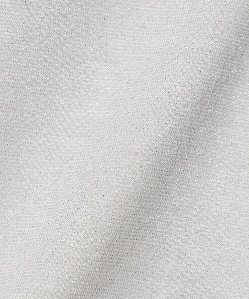 A DAY IN THE LIFE UNITED ARROWS（アデイインザライフユナイテッドアローズ）の「ラメ ベア タンクトップ＜A DAY IN THE LIFE＞（Tシャツ/カットソー・レディース・ライトグレー/その他1/ブラック・FREE）」の19枚目の写真