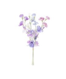 Francfranc(�t�����t����)�̃~�j�u�[�P �X�C�[�g�s�[ �p�[�v�� ���� �C���e���A(�C���e���A�G��)