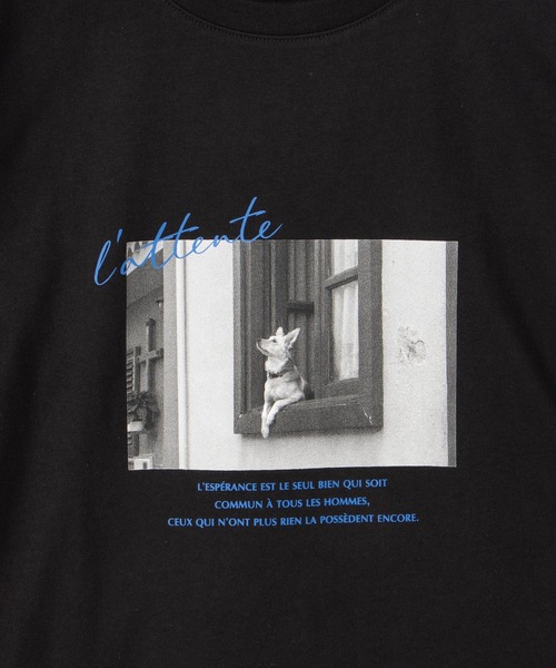 Honeys(ハニーズ)の「フォトプリントTシャツ(Tシャツ/カットソー・レディース・オフホワイト/モカ/ブラック/ダークグリーン系1/ダークオレンジ・L/M/LL)」の20枚目の写真