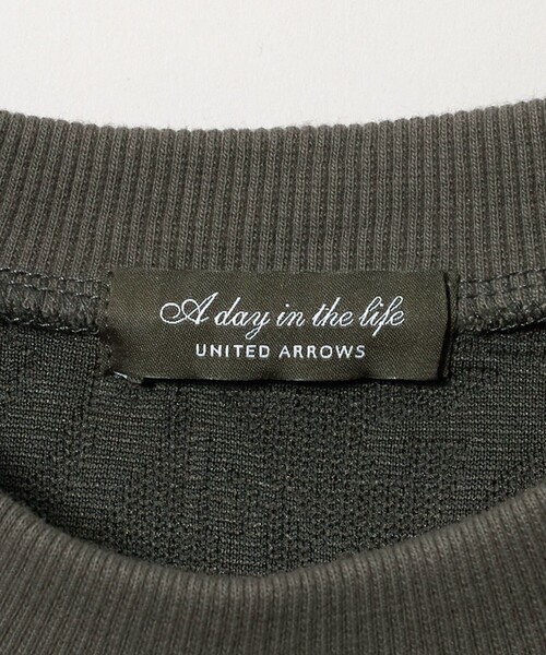 A DAY IN THE LIFE UNITED ARROWS(アデイインザライフユナイテッドアローズ)の「パフジャガード クルーネックプルオーバー<A DAY IN THE LIFE>(Tシャツ/カットソー・レディース・モカ/オフホワイト/ブラック・FREE)」の13枚目の写真