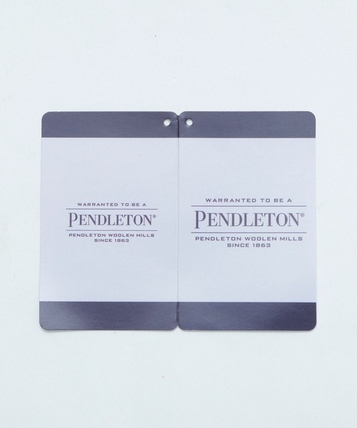 PENDLETON（ペンドルトン）の「【PENDLETON(ペンドルトン)】ウラケプルオーバー（Tシャツ/カットソー・レディース・イエロー/グリーン/アイボリー・FREE）」の4枚目の写真