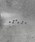 SBGiGXr[j́uSBG Xg[go[x{fBsAX(4{Zbg)isAXipjjvbVo[n̑2