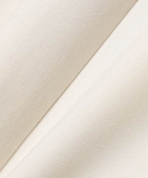 Demi-Luxe BEAMS（デミルクス ビームス）の「ヴィスコース バックタック ロングスリーブ ワンピース（ワンピース・レディース・ネイビー/オフホワイト・36/38）」の19枚目の写真