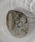 ORLEANiIAj́uAM[Ή Vvt[vsAX 1.6mm T[WJXeX jZbNXisAXipjjvbVo[