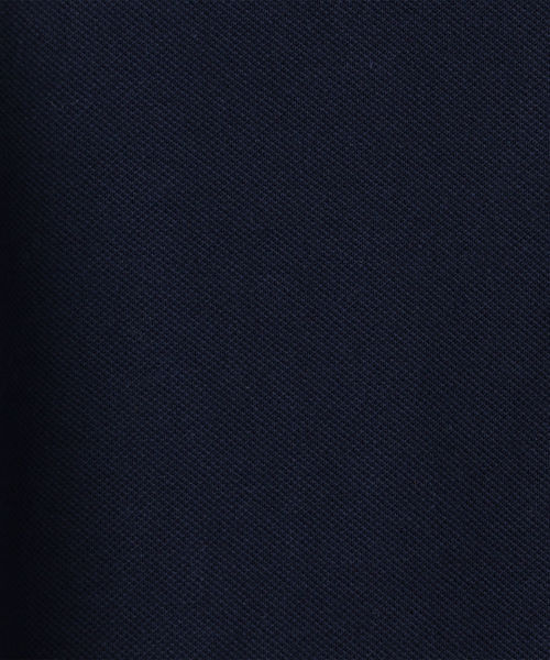 LACOSTE（ラコステ）の「LACOSTE: 【PARIS】ロングスリーブ ポロシャツ（ポロシャツ・メンズ・ホワイト/ネイビー・SMALL/MEDIUM/LARGE）」の3枚目の写真