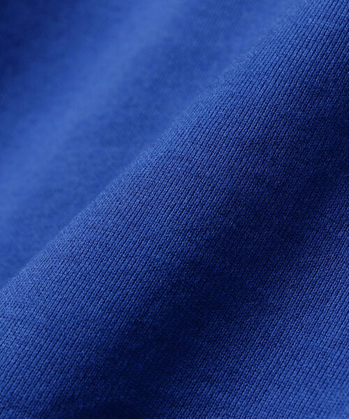 HAVERSACK（ハバーザック）の「HAVERSACK / ラグランスリーブ スエット（スウェット・メンズ・ブルー系その他3・MEDIUM/LARGE）」の7枚目の写真