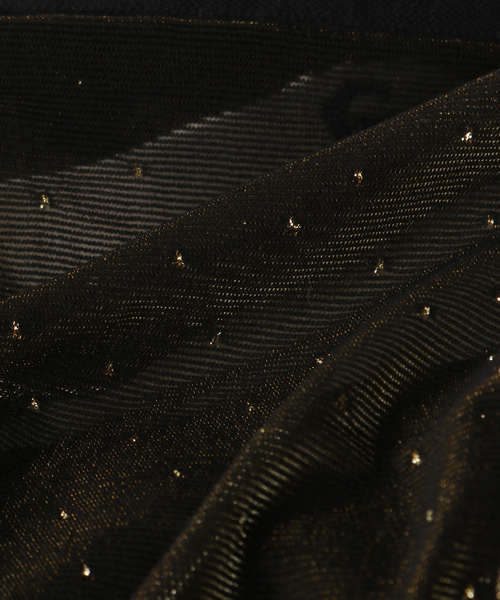 FRAMeWORK（フレームワーク）の「【Girardi/ジラルディ】ラメドットストッキング（タイツ/ストッキング・レディース・ブラック系その他/ブラック・FREE）」の11枚目の写真