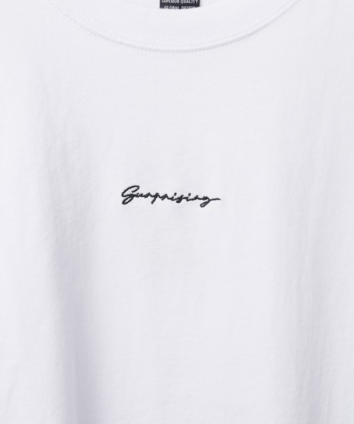 ARCHIVER(アーカイバ)の「【69】刺繍ショートスリーブ コットンTシャツ(Tシャツ/カットソー・レディース・ホワイト系1/ホワイト系2/ホワイト系3/ブラック系2/ブラック系1/ブラック系3/パープル/ブルー系・MEDIUM/LARGE)」の14枚目の写真