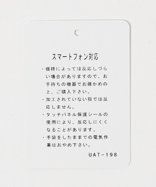 green label relaxing（グリーンレーベルリラクシング）の「起毛シルキー フェイクファー グローブ 手洗い可能（手袋・レディース・ダークグレー/モカ/ライトグレー・FREE）」の16枚目の写真