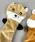 yield�i�C�[���h�j�́u�yyield select�z�y�b�g�G�� ���p�������� �L�c�l �ʂ�����݊��݊ߋ� �v�s�v�s�� YW16TY�i�y�b�g�p��������j�v�b�x�[�W��