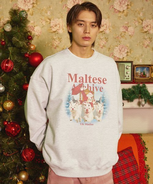 WaiKei（ワイケイ）の「クリスマスマルチーズアーカイブスウェットメランジホワイト（スウェット・レディース・その他・1/2）」の2枚目の写真