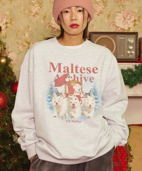 WaiKei（ワイケイ）の「クリスマスマルチーズアーカイブスウェットメランジホワイト（スウェット・レディース・その他・1/2）」の3枚目の写真