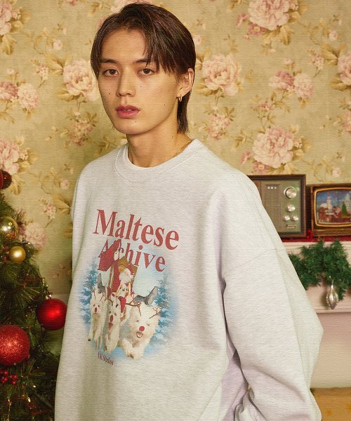 WaiKei（ワイケイ）の「クリスマスマルチーズアーカイブスウェットメランジホワイト（スウェット・レディース・その他・1/2）」の5枚目の写真