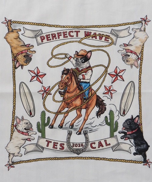 The Endless Summer（エンドレスサマー）の「【WEB / FLAG SHOP限定】 TES 2026 NEW YEAR TEE & BANDANA / Tシャツ&バンダナセット（Tシャツ/カットソー・メンズ・グレー/ホワイト・MEDIUM/XX-LARGE/X-LARGE/SMALL/LARGE）」の21枚目の写真