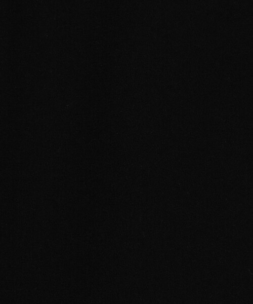 DES PRES（デ・プレ）の「ウールジョーゼット ワイドフレアパンツ（スラックス・レディース・ブラック/グレー・36/34）」の12枚目の写真