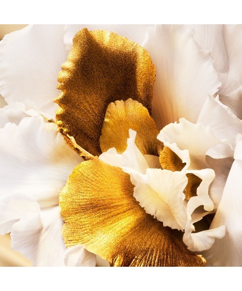 ジャドール オードゥ パルファン ローラー パール（香水）｜DIOR