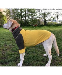 GREEN BOWL（グリーンボウル）の「【GREEN BOWL】オリジナル ストレッチTシャツ / 犬服 / ドッグウェア/ 中型・大型犬 (胴回り66cm)（ペットウェア）」