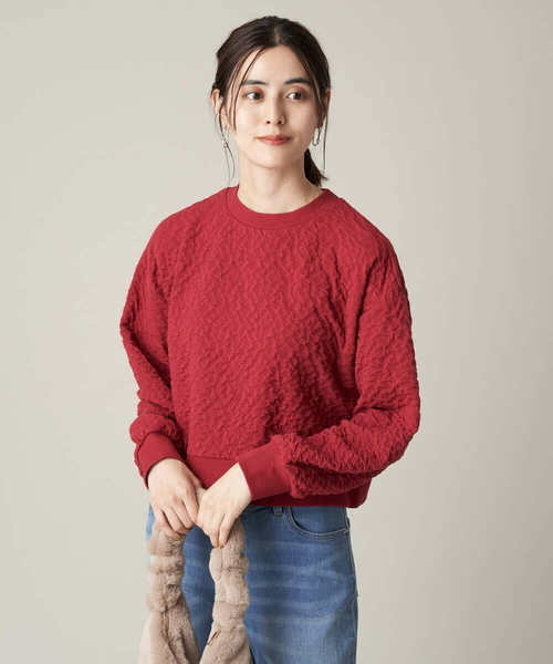a.v.v(アーヴェヴェ)の「ふくれジャガードショート丈トップス(Tシャツ/カットソー・レディース・アイボリー/ブラック/レッド・38/36/40/42/34)」の4枚目の写真