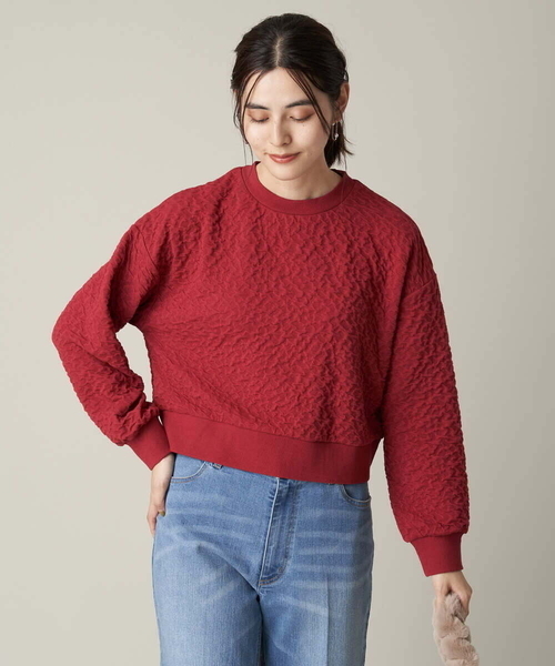 a.v.v(アーヴェヴェ)の「ふくれジャガードショート丈トップス(Tシャツ/カットソー・レディース・アイボリー/ブラック/レッド・38/36/40/42/34)」の5枚目の写真