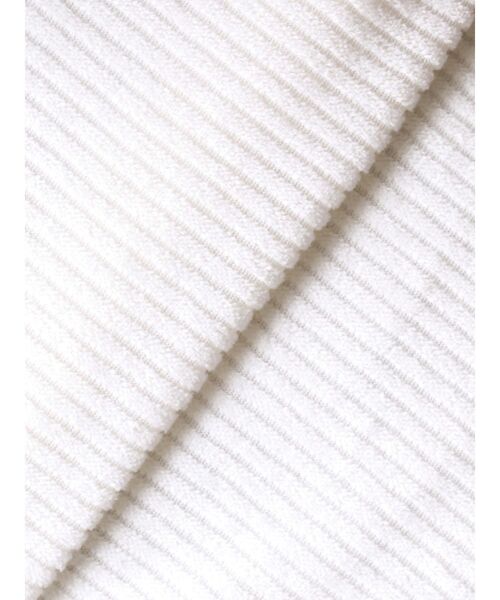 【セール】ストライプベロアカットソー（Tシャツ/カットソー）｜ELENDEEK（エレンディーク）