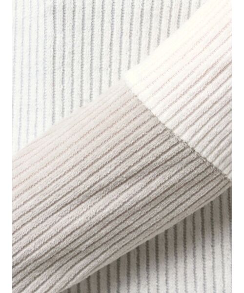 【セール】ストライプベロアカットソー（Tシャツ/カットソー）｜ELENDEEK（エレンディーク）