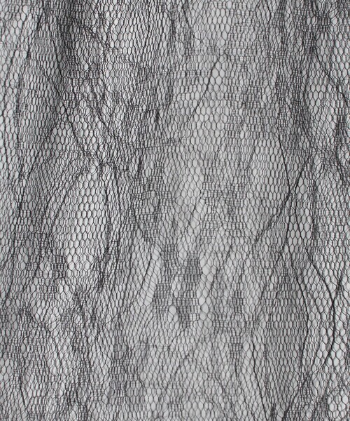 Steven Alan(スティーブンアラン)の「<AMOMENTO>SHEER LACE LONG SKIRT/スカート(スカート・レディース・ブラック・0)」の2枚目の写真