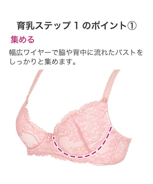 BRADELIS NEWYORK（ブラデリスニューヨーク）の「ウェンディステップ1ブラ 22A1 ブラデリス 育乳補整 補正下着（ブラジャー・レディース・ピンク/ネイビー/ブラック・C75/D65/D70/D75/E75/B70/E70/F75/C70/B75/E65/F65/F70/C65）」の6枚目の写真