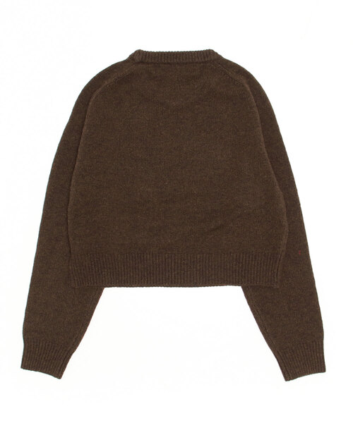 THE SHINZONE（ザ　シンゾーン）の「[THE SHINZONE/ザ シンゾーン] ショート丈クルーネックニット（ニット/セーター・レディース・パープル/イエロー/ブラウン・F）」の6枚目の写真