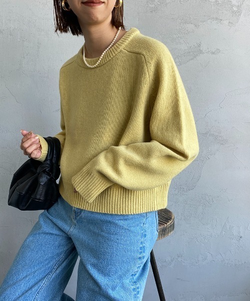 THE SHINZONE（ザ　シンゾーン）の「[THE SHINZONE/ザ シンゾーン] ショート丈クルーネックニット（ニット/セーター・レディース・パープル/イエロー/ブラウン・F）」の3枚目の写真